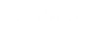 Electricities 300 x 120