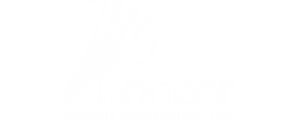 Pioneer 300 x 120