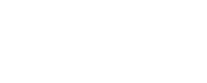 Victory 300 x 120