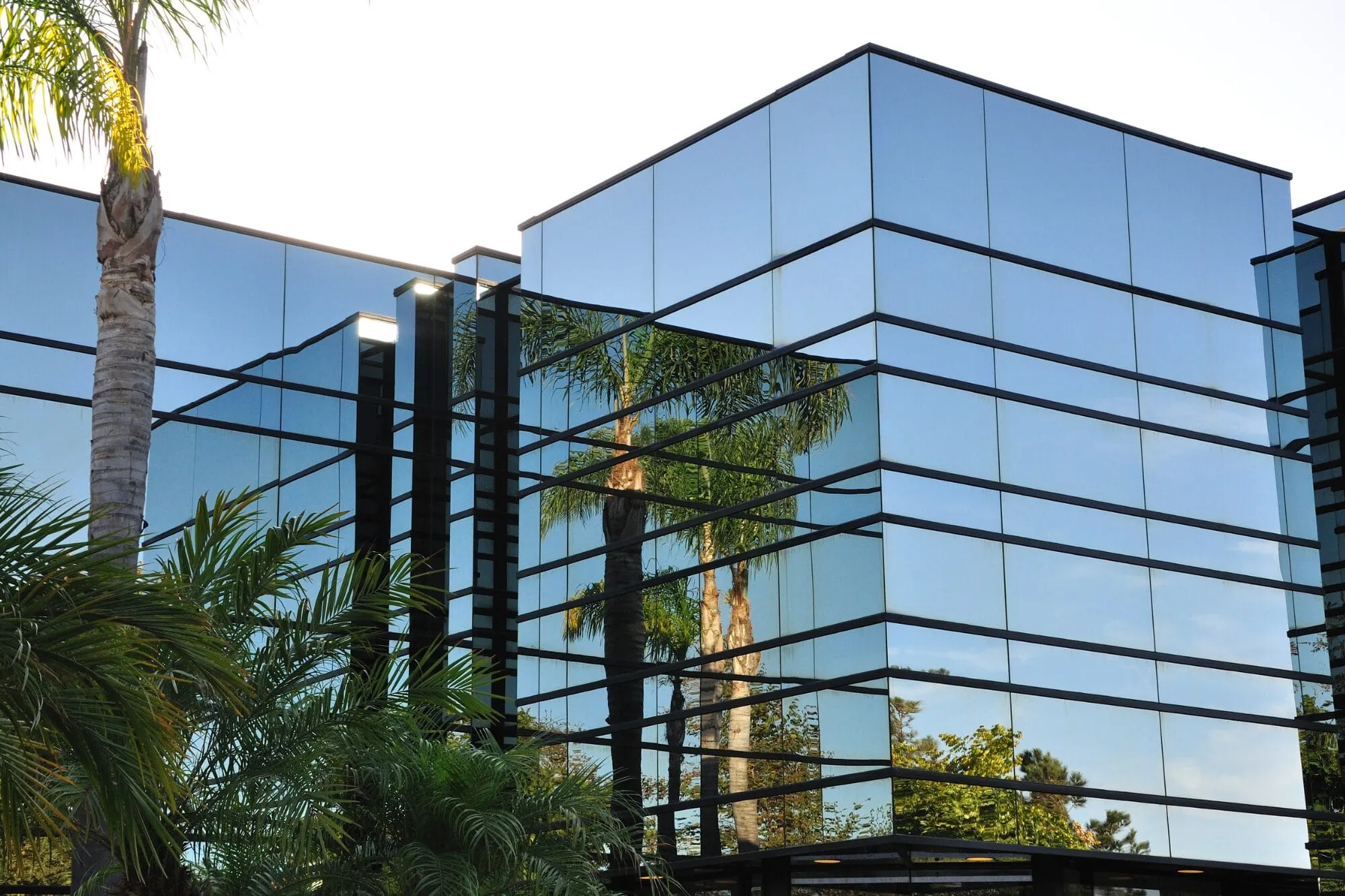 Blog pictures (2000 x 1333 px) (3)